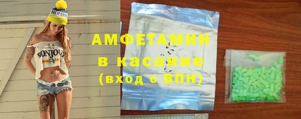 прущие грибы Алзамай