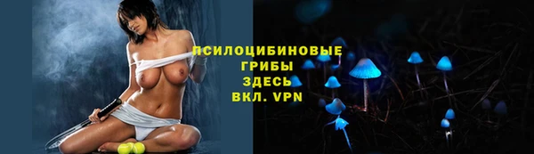 прущие грибы Алзамай