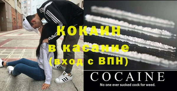 прущие грибы Алзамай