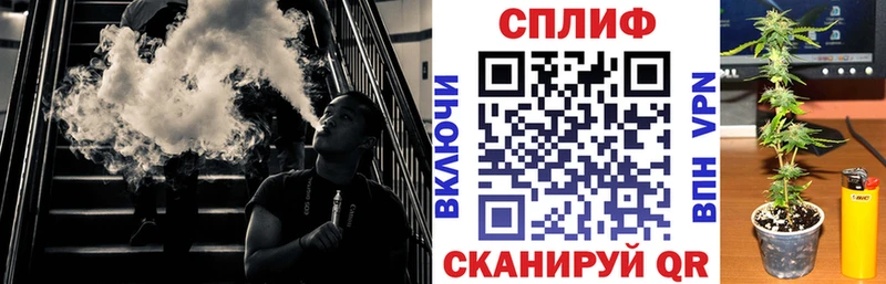 наркота  Обнинск  Канабис план 